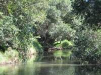 Arana Hills, Queensland