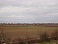 Wöllstein