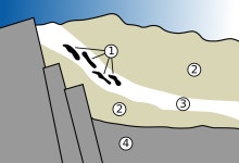 Natural nuclear fission reactor