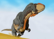 Yangchuanosaurus