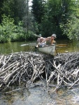 Waterways of West Virginia