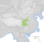 진족