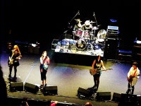 The Go-Gos