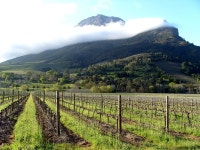 Agriculture in South Africa