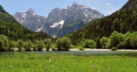 Template:Potd/2010-07