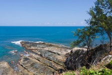 사바주