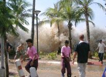 2004 Indian Ocean earthquake and tsunami