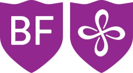 밝은미래 (아이슬란드)