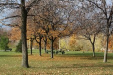 Christie Pits