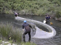 Seine fishing