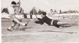 Nahum Stelmach