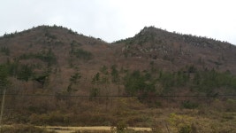 금쇄동