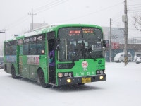 포항버스