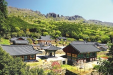 Templestay