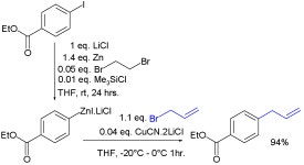 Organozinc chemistry