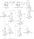오탄당 인산 경로