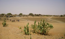 Zamzam camp