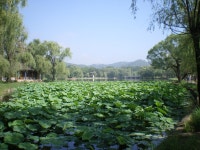 Hebei