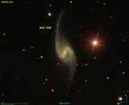 NGC 7549