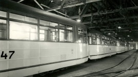 TS Class 6