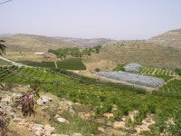 Shiloh (biblical city)