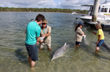 Tin Can Bay, Queensland