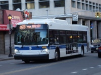 B26 (New York City bus)