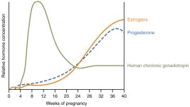 Childbirth