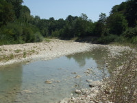 Fino (river)