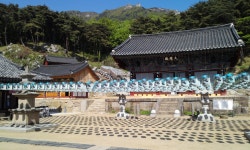 유가사 (대구)