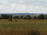 Skotniki, Piotrków County