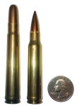 Rim (firearms)