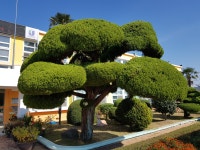 대구본리초등학교