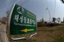 대성동초등학교