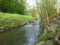 Bieberbach (Hönne)