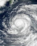 Typhoon Saomai (2000)