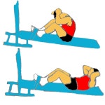 sit-up - Wikidata sit-up