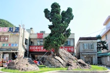 경기도의 문화재자료 (제1호 ~ 제100호)