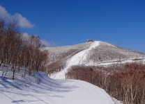 법동군