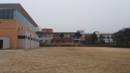 안성고등학교 (경기)