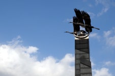 조선대학교