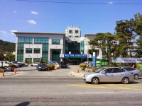 홍천읍