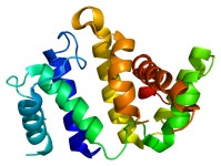 ARHGAP26