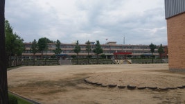 안성여자고등학교