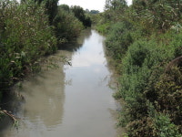 Naaman River