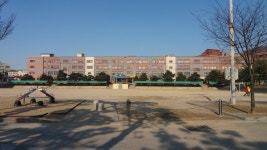 안성초등학교 (경기)
