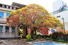 제주특별자치도의 기념물