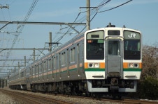 緑15号