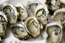 Cookbook:Oyster