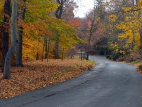 Llewellyn Park